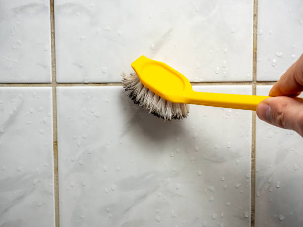 Best Localized Mold Remediation (e.g., coastal areas, humid climates) in Hughes Springs, TX